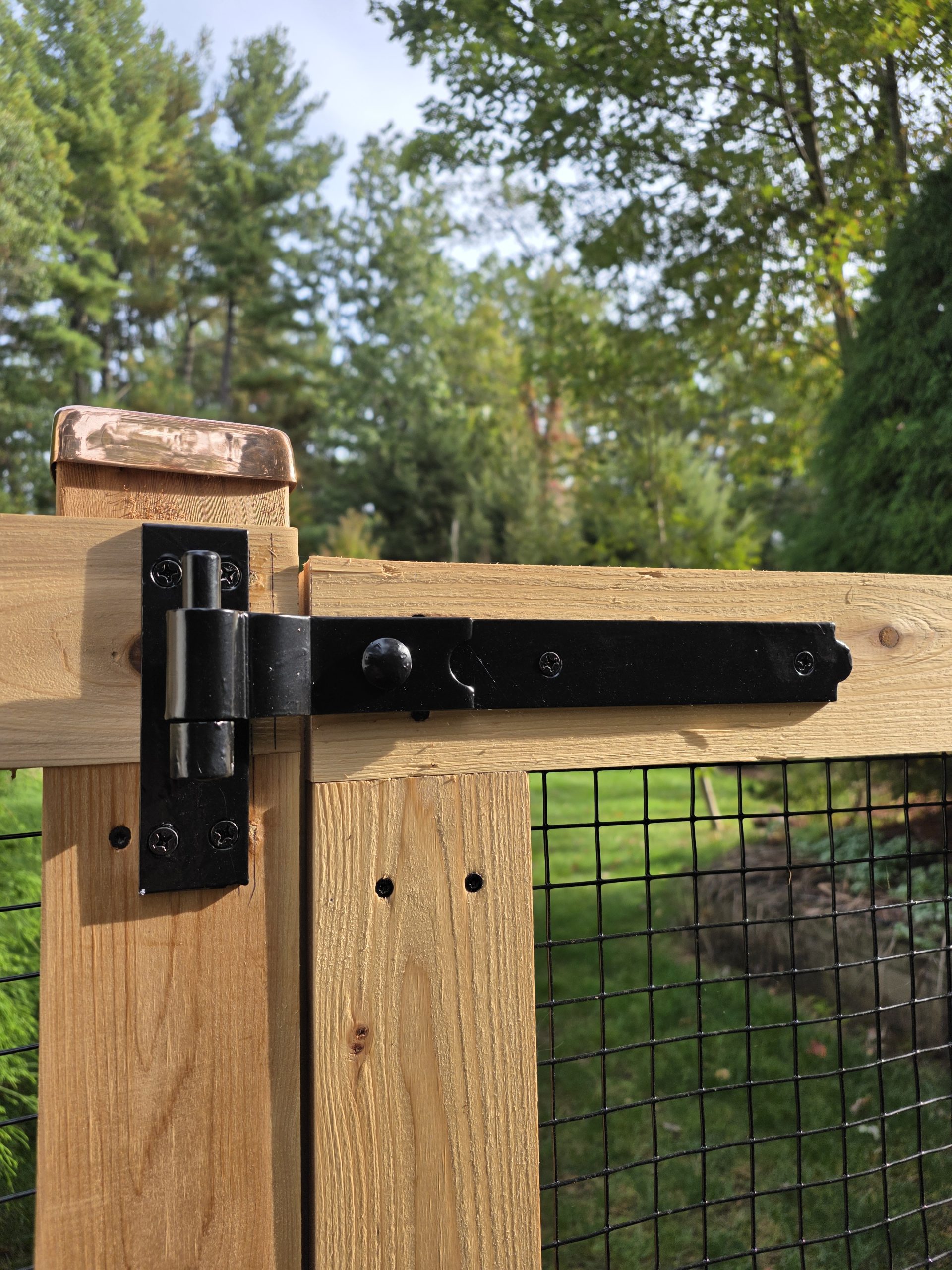 360 Yardware with 12-inch Snug Cottage Galvanized Steel Strap Hinges in Satin Black